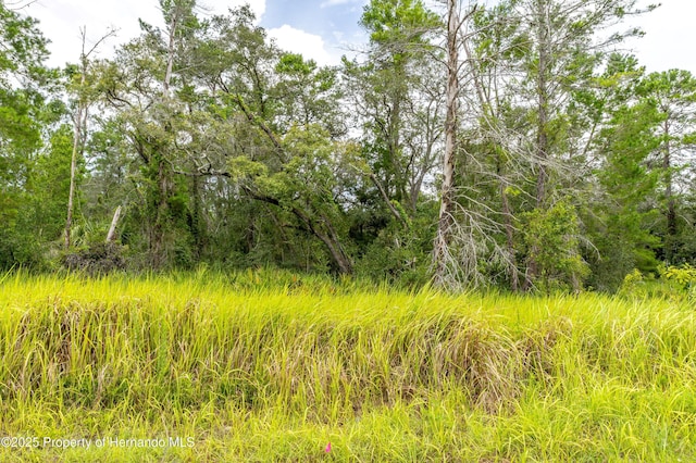 0 Bahama Swallow Ave, Weeki Wachee, FL 34613 - photo 12