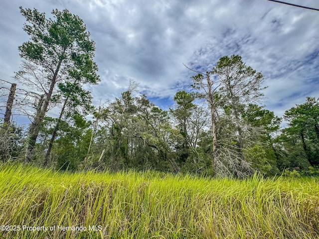 0 Bahama Swallow Ave, Weeki Wachee, FL 34613 - photo 1