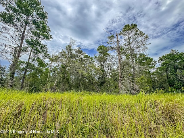 0 Bahama Swallow Ave, Weeki Wachee, FL 34613 - photo 5