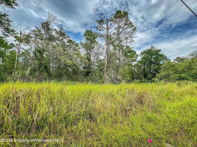 0 Bahama Swallow Ave, Weeki Wachee, FL 34613 - photo 7