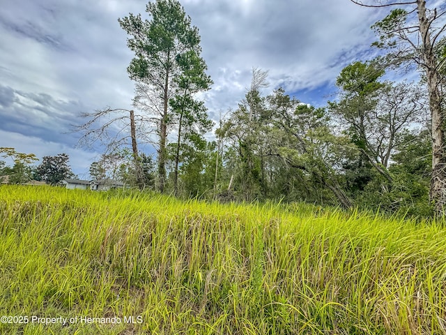 0 Bahama Swallow Ave, Weeki Wachee, FL 34613 - photo 14