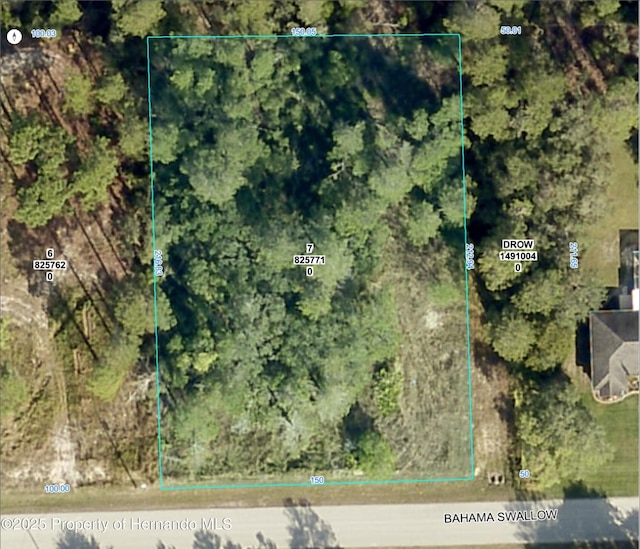 0 Bahama Swallow Ave, Weeki Wachee, FL 34613 - photo 2