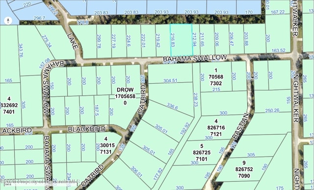 0 Bahama Swallow Ave, Weeki Wachee, FL 34613 - photo 13