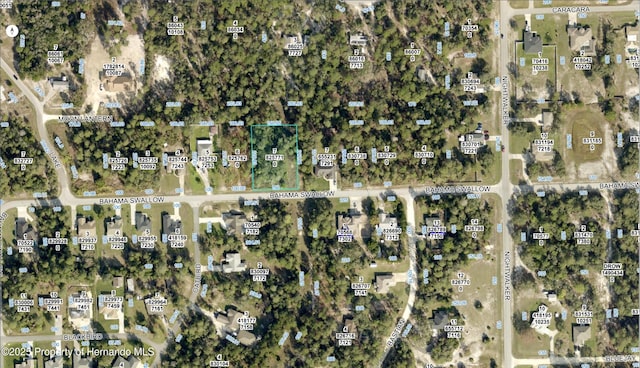 0 Bahama Swallow Ave, Weeki Wachee, FL 34613 - photo 15