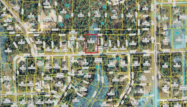 0 Bahama Swallow Ave, Weeki Wachee, FL 34613 - photo 4