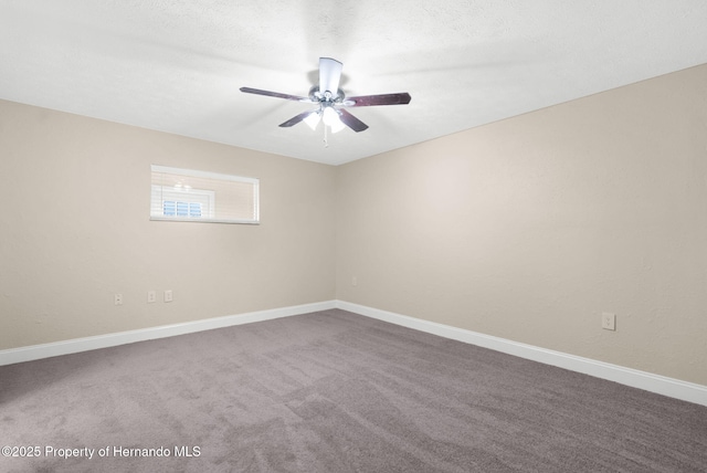 11425 Fox Run, Port Richey, FL 34668 - photo 15