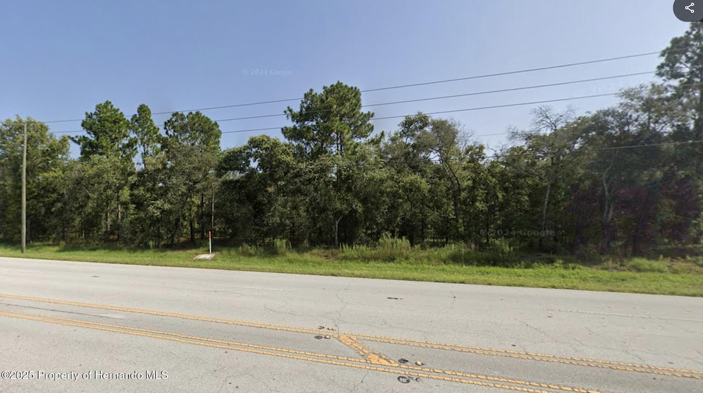 15389 Spring Hill Dr, Spring Hill, FL 34604 - photo 2