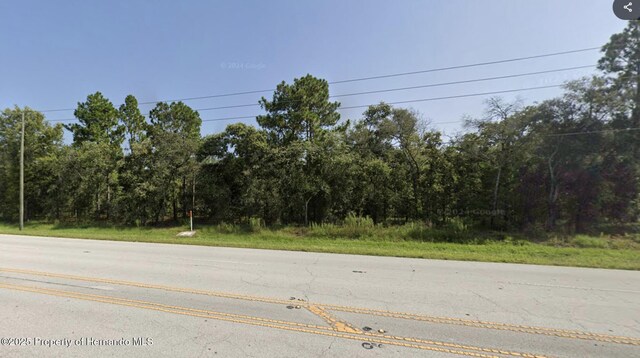 15389 Spring Hill Dr, Spring Hill, FL 34604 - photo 2