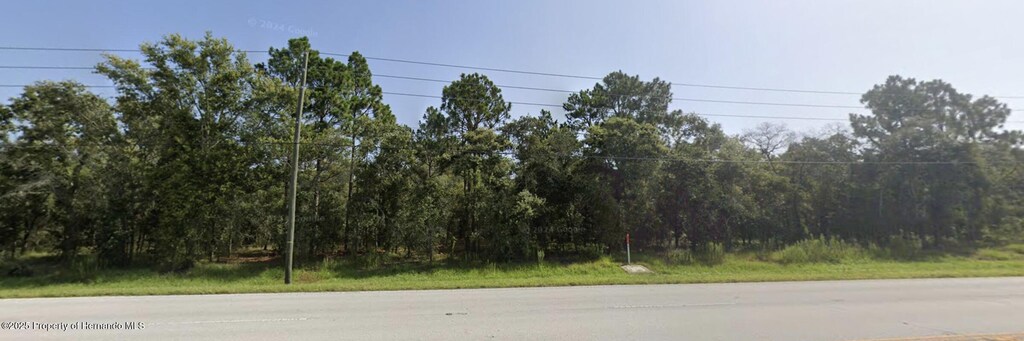 15389 Spring Hill Dr, Spring Hill, FL 34604 - photo 3