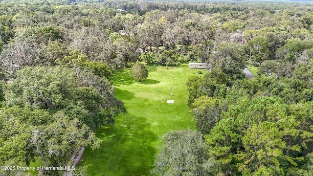 0 Ruth St, Brooksville, FL 34601 - photo 4