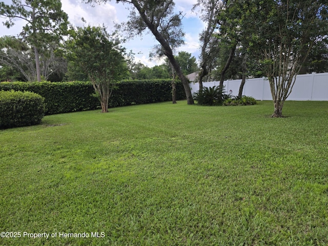 13028 Jocelyn Way, Spring Hill, FL 34609 - photo 87