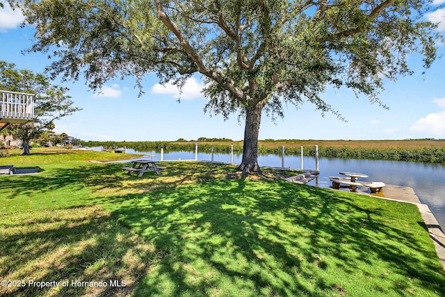 2487 Sunset Vista Dr, Spring Hill, FL 34607 - photo 59