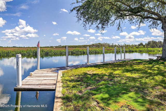 2487 Sunset Vista Dr, Spring Hill, FL 34607 - photo 60