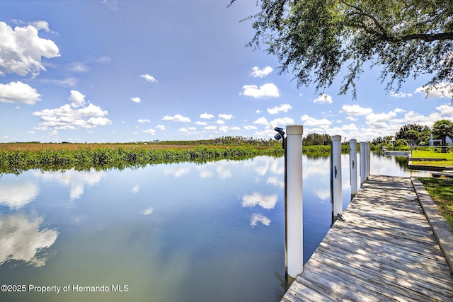 2487 Sunset Vista Dr, Spring Hill, FL 34607 - photo 61