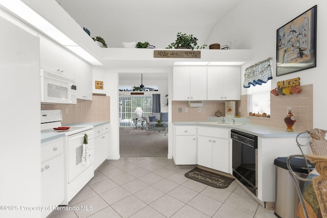 9426 Mississippi Run, Weeki Wachee, FL 34613 - photo 9