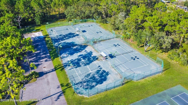 9426 Mississippi Run, Weeki Wachee, FL 34613 - photo 27