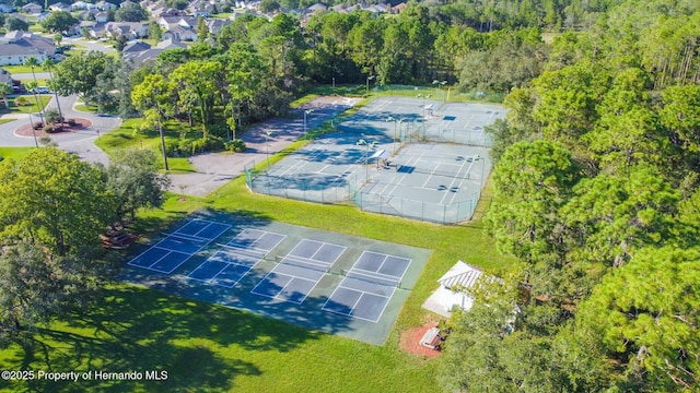 9426 Mississippi Run, Weeki Wachee, FL 34613 - photo 32