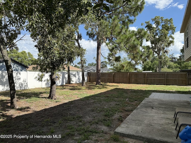 10056 Gifford Dr, Spring Hill, FL 34608 - photo 30