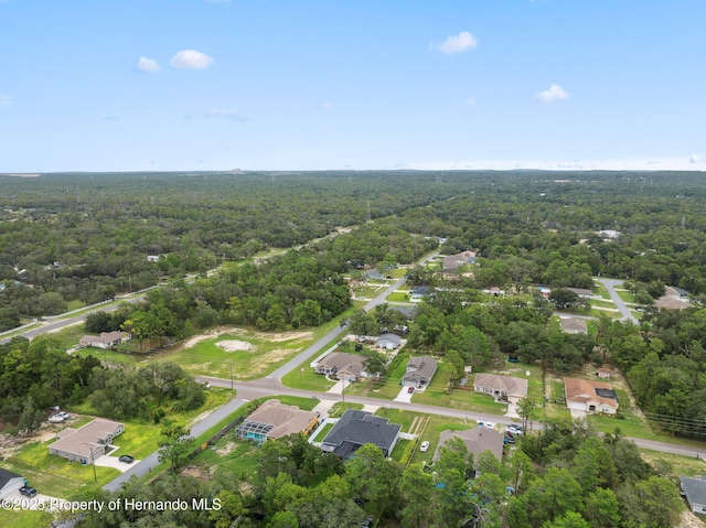 13079 Harris Hawk Rd, Brooksville, FL 34614 - photo 59