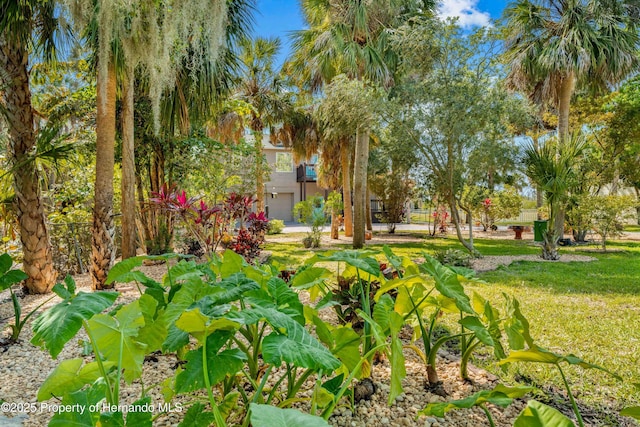 8711 Betty St, Port Richey, FL 34668 - photo 2