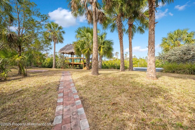 8711 Betty St, Port Richey, FL 34668 - photo 74