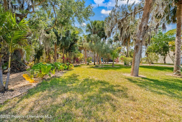 8711 Betty St, Port Richey, FL 34668 - photo 82