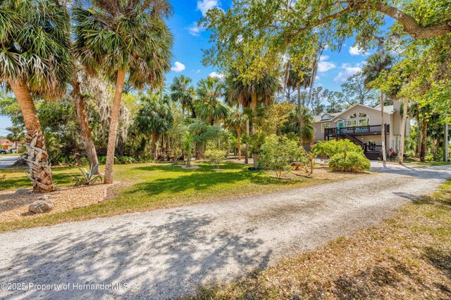 8711 Betty St, Port Richey, FL 34668 - photo 83