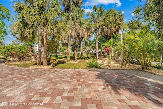 8711 Betty St, Port Richey, FL 34668 - photo 86