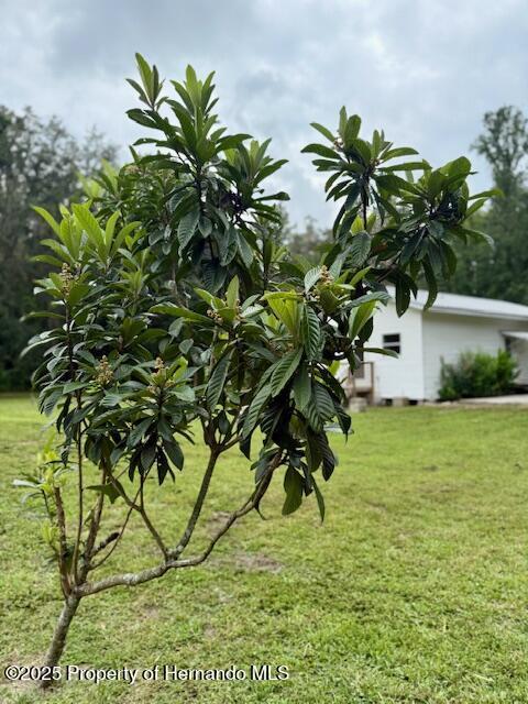 18301 Promise Path, Brooksville, FL 34601 - photo 25