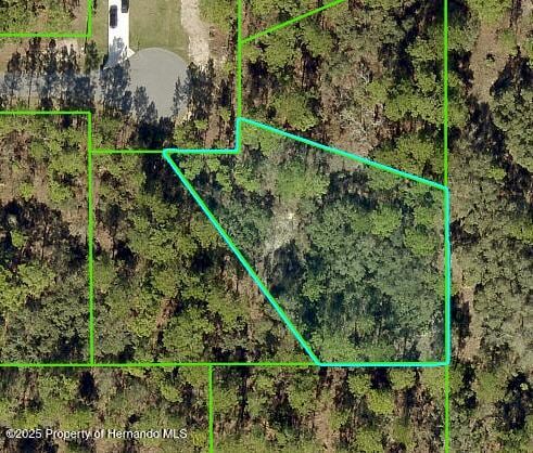 11342 Telephone Rd, Brooksville, FL 34614 - photo 1