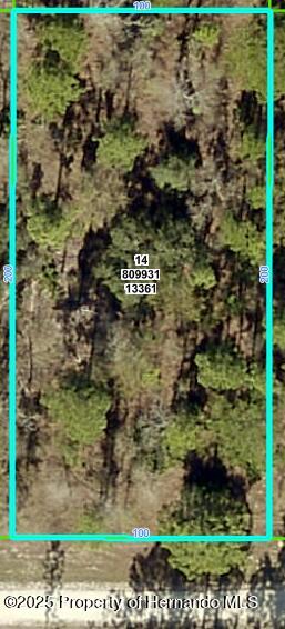 13361 Schick Ave, Weeki Wachee, FL 34614 - photo 1