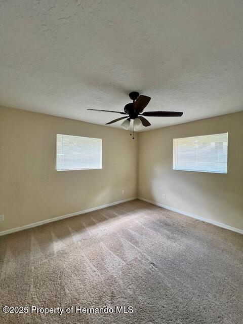 4024 Culbreath Rd, Brooksville, FL 34602 - photo 8