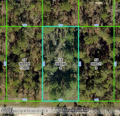 13075 Tinamou Ave, Brooksville, FL 34614 - photo 1