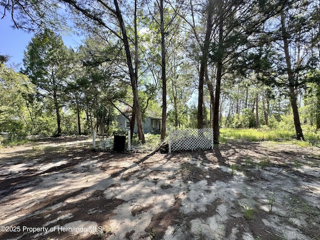 11192 Wren Rd, Brooksville, FL 34614 - photo 9