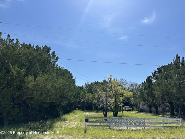 11192 Wren Rd, Brooksville, FL 34614 - photo 3