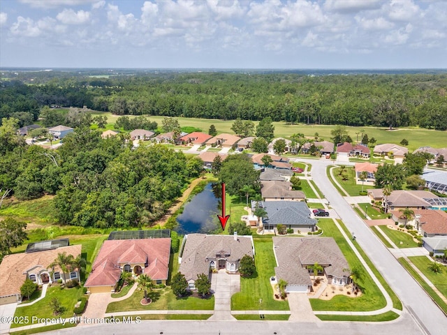 4271 Baudelaire Ct, Brooksville, FL 34604 - photo 46