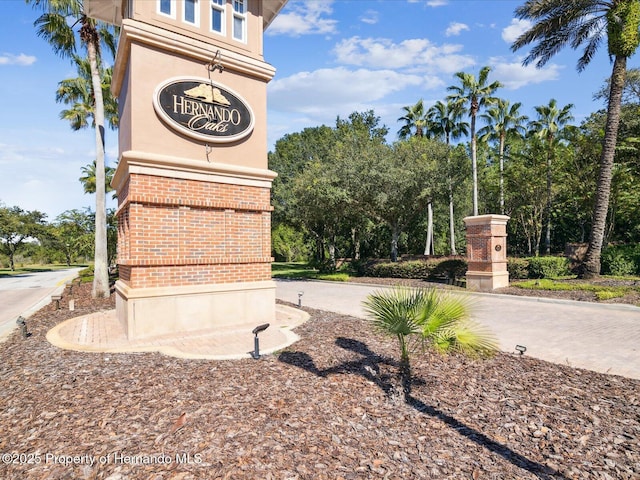4271 Baudelaire Ct, Brooksville, FL 34604 - photo 49