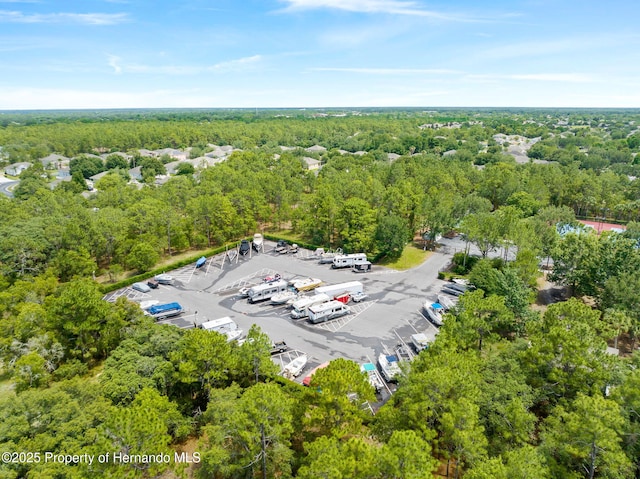 5262 Kirkshire Ln, Spring Hill, FL 34609 - photo 39