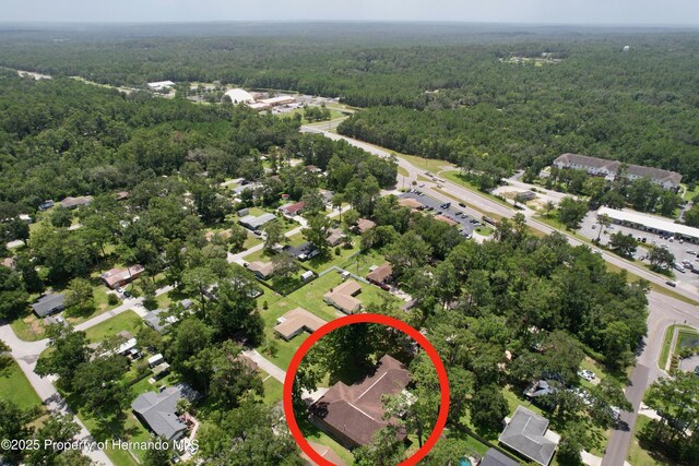 1510 Don Jr Ave, Brooksville, FL 34601 - photo 57