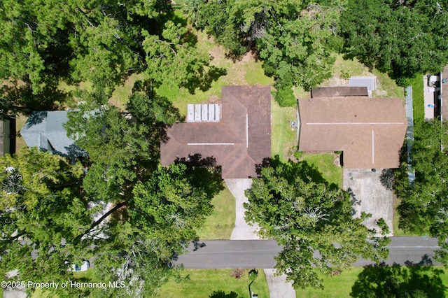 1510 Don Jr Ave, Brooksville, FL 34601 - photo 54