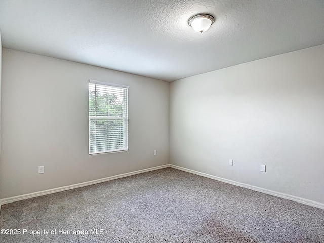 10274 Bedford Rd, Spring Hill, FL 34608 - photo 31