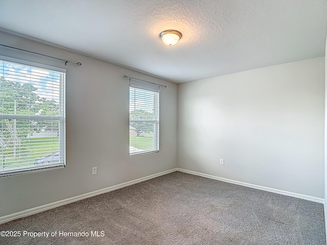 10274 Bedford Rd, Spring Hill, FL 34608 - photo 32