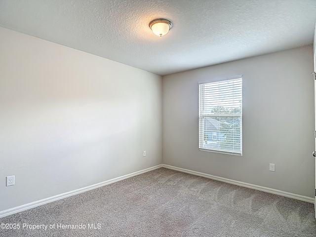 10274 Bedford Rd, Spring Hill, FL 34608 - photo 38