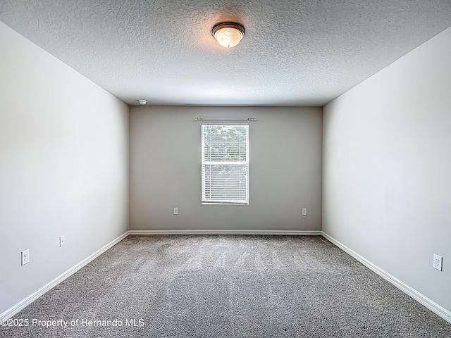 10274 Bedford Rd, Spring Hill, FL 34608 - photo 46