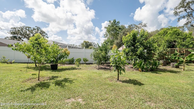 8470 Fowler Ln, Spring Hill, FL 34608 - photo 37
