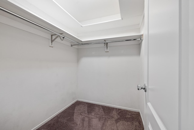 spacious closet with carpet