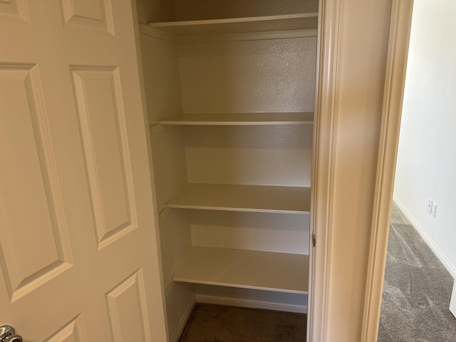 view of closet