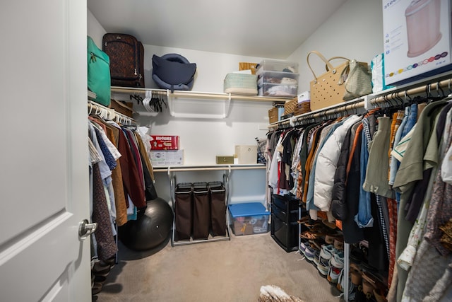 walk in closet featuring carpet