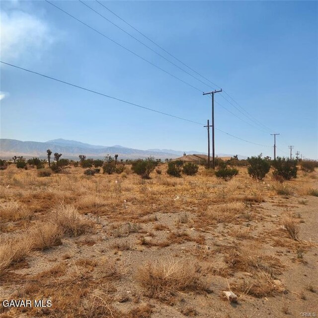1595 La Mesa Rd, Pinon Hills, CA 92372 - photo 5
