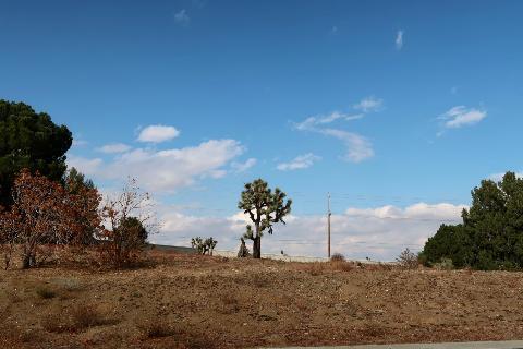 Camino Hermanos, Lancaster, CA 93536